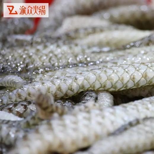 1㎏火锅凉拌鱼皮【云仓2A3中-2F】 商品图1