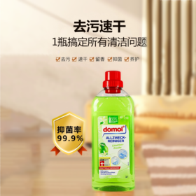 【中欧班列直供2瓶】德国domol多功能清洁剂浴室瓷砖厕所地表面玻璃去污剂卫生间 1000mL/瓶*2