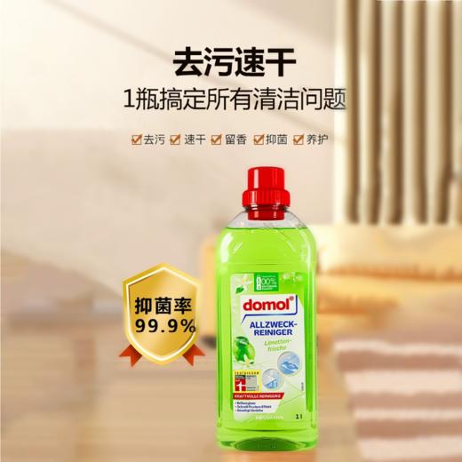 【中欧班列直供2瓶】德国domol多功能清洁剂浴室瓷砖厕所地表面玻璃去污剂卫生间 1000mL/瓶*2 商品图0