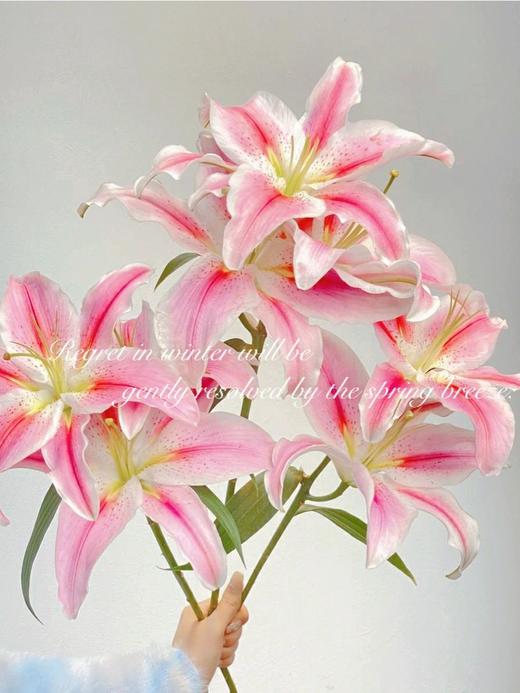 【百事合意】希亚拉重瓣百合3朵+罗蒂百合8-10朵+黄天霸百合8-10朵+黄帝百合3-5朵+迷你向日葵3支/份 商品图3