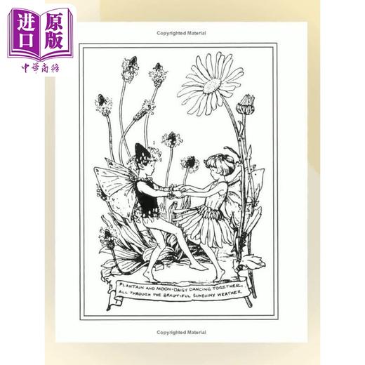 【中商原版】花仙子：夏之仙子 Flower Fairies of the Summer 英文原版 儿童植物花卉绘本图画书 精装精品绘本 进口儿童读物 商品图2