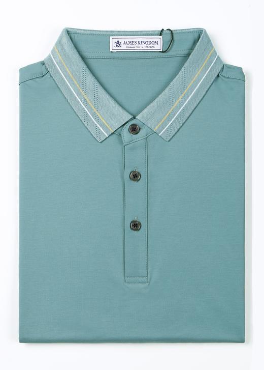 占姆士男士翻领纯色短袖POLO衫 商品图0