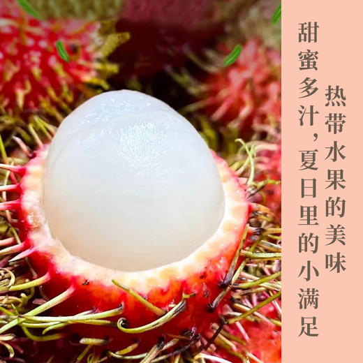 海南保亭红毛丹  果肉晶莹剔透    肉质细嫩    甜甜的清凉口感    风味独特  礼盒装包邮发出 商品图0