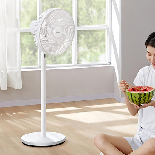 艾美特遥控落地扇FS30-R57 商品图1