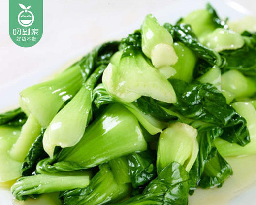 【叼鲜蔬】诺誉庄园新鲜上海青/1份（约350g） 商品图4