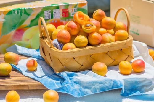 新疆小红杏 | 来自新疆天山北麓特有的优良品种，香甜的杏汁瞬间在口中爆浆，  软软糯糯的杏肉还在与唇齿流连忘返，  甜蜜已直达心田，就是甜的这么纯粹。想要这份独特美味体验的可得抓紧了。 商品图2