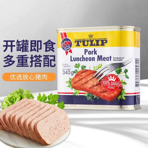 【中欧班列直供】丹麦进口郁金香猪肉午餐肉罐头340g/罐 商品图3