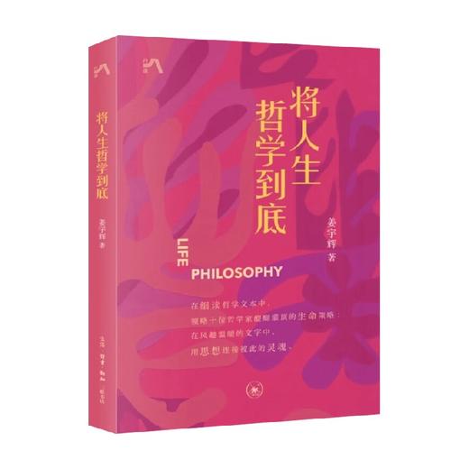 将人生哲学到底 姜宇辉 著 哲学 商品图0
