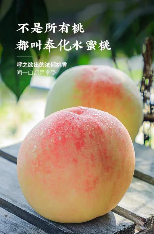 【应季水果】奉化水蜜桃（甜到心坎） 商品图1