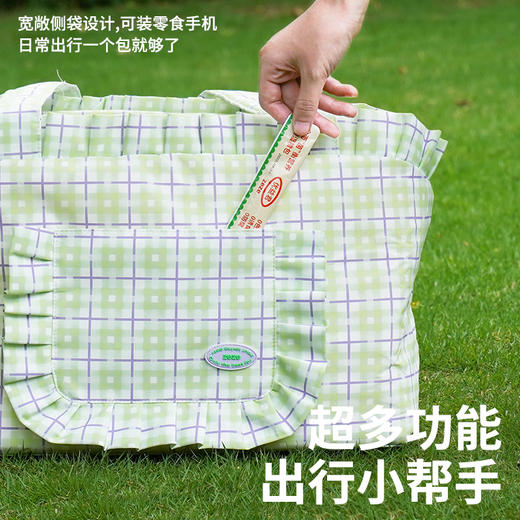 zeze格纹宠物外出包-B(包邮) 商品图2