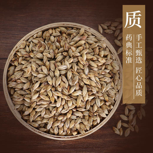 炒麦芽 康美中药饮片 独立小包装 商品图1