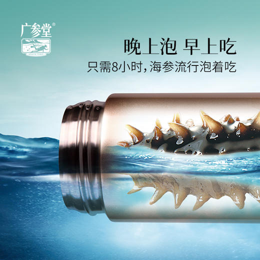 【总裁定制】广参堂自发速发海参礼盒 20克-7只装 商品图1
