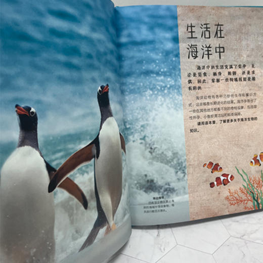 DK不可思议的海洋百科 商品图5