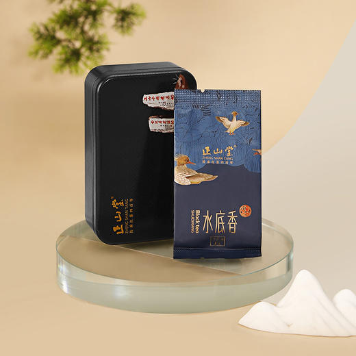 正山堂 水底香品鉴装 红茶小包装红茶正山小种红茶特级茶叶试泡试饮装6g 商品图4