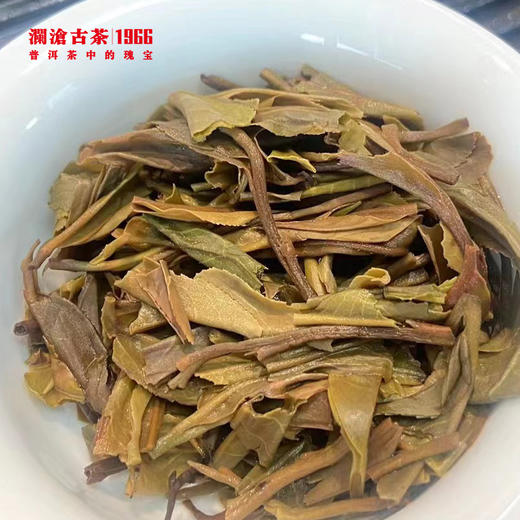 【限时尝鲜】2023年布朗孔雀青饼布朗山古树茶普洱茶生茶散装品鉴装50g 商品图3