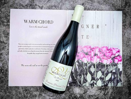 文森特莱迪勃艮第大区踟蹰园红葡萄酒 2020 商品图0