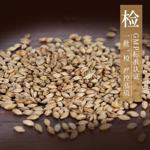 炒麦芽 康美中药饮片 独立小包装 商品图3