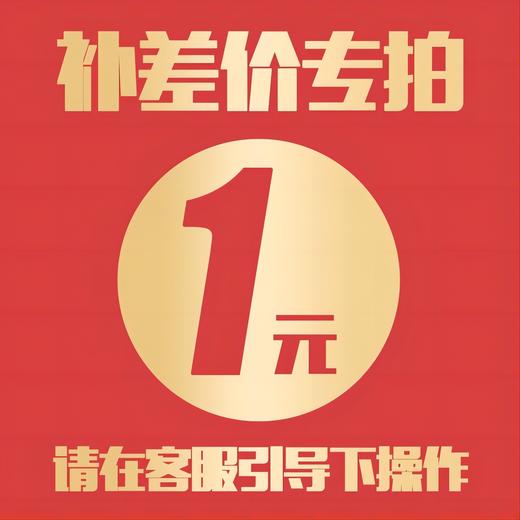 犇西诗差价链接 商品图0