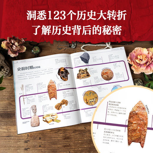 DK历史运转的秘密 商品图3