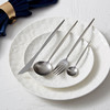 【6F】多样屋（TAYOHYA） 不锈钢西餐具四件套餐具套装刀叉勺套装送礼自用礼盒 爵西餐具 商品缩略图2