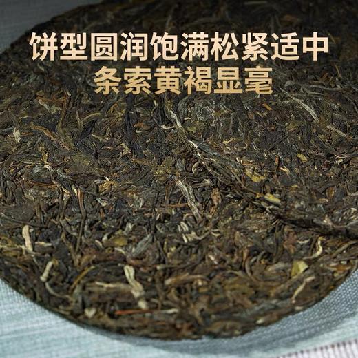生普 | 德丰昌2023年明前春尖手撕饼  200g 商品图1
