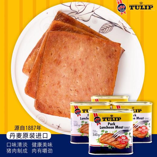 【中欧班列直供】丹麦进口郁金香猪肉午餐肉罐头340g/罐 商品图2