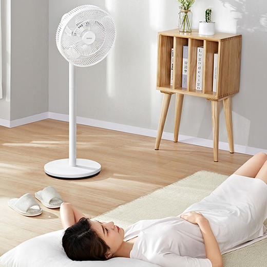 艾美特机械落地扇FS30-X52 商品图1