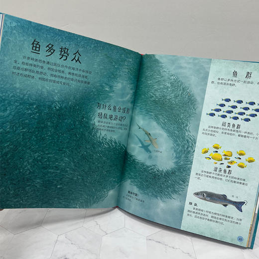 DK不可思议的海洋百科 商品图6