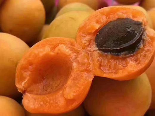 新疆小红杏 | 来自新疆天山北麓特有的优良品种，香甜的杏汁瞬间在口中爆浆，  软软糯糯的杏肉还在与唇齿流连忘返，  甜蜜已直达心田，就是甜的这么纯粹。想要这份独特美味体验的可得抓紧了。 商品图3