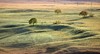 蒙古国深度游： ——乌兰巴托、木伦库苏古尔湖、驯鹿秘境11天 商品缩略图11
