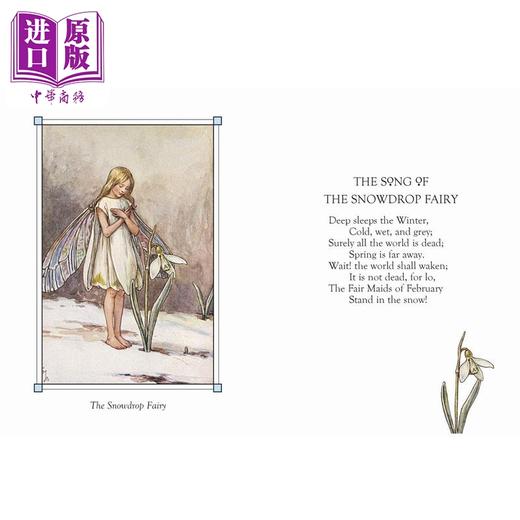 【中商原版】花仙子：冬之仙子 Flower Fairies of the Winter 英文原版 儿童植物花卉绘本图画书 精装精品绘本 进口儿童读物 商品图1