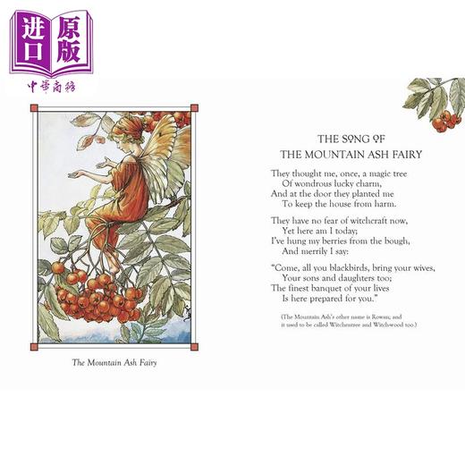 预售 【中商原版】花仙子：秋之仙子 Flower Fairies of the Autumn 英文原版 儿童植物花卉绘本图画书 精装精品绘本 进口儿童读物 商品图4