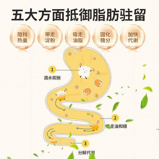 【买二送一！白芸豆咀嚼片】压片糖果 白芸豆黑咖啡奶粉片 商品图3