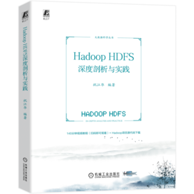 官网 Hadoop HDFS深度剖析与实践 祝江华 大数据科学丛书 Hadoop HDFS 数据库 数据湖 分布式技术书籍