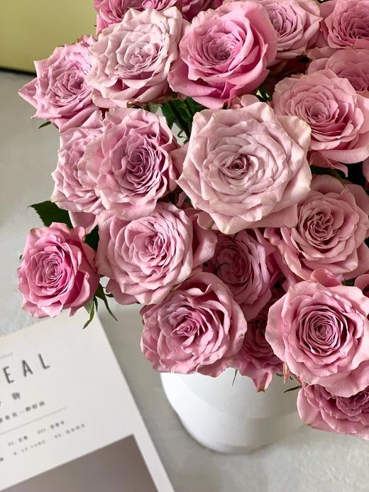 诺拉多头玫瑰【愿你即使生活在喧嚣的世界当中也能安静独处】简小姐精选 粉紫色 多头诺拉玫瑰 2件包邮 下单5天发出 商品图7