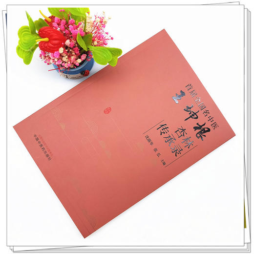 【出版社直销】首届全国名中医王坤根杏林传承录  沈淑华 张弘 著 中国中医药出版社  名老中医经验集书籍 商品图2