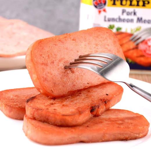 【中欧班列直供】丹麦进口郁金香猪肉午餐肉罐头340g/罐 商品图7