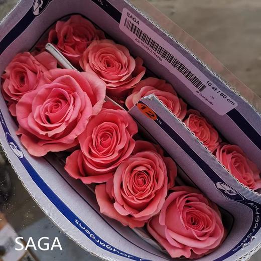 厄瓜多尔进口SAGA玫瑰花10支 商品图3