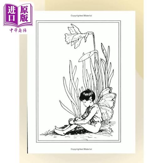 预售 【中商原版】花仙子：春之仙子 Flower Fairies of the Spring 英文原版 儿童植物花卉绘本图画书 精装精品绘本 进口儿童读物 商品图2