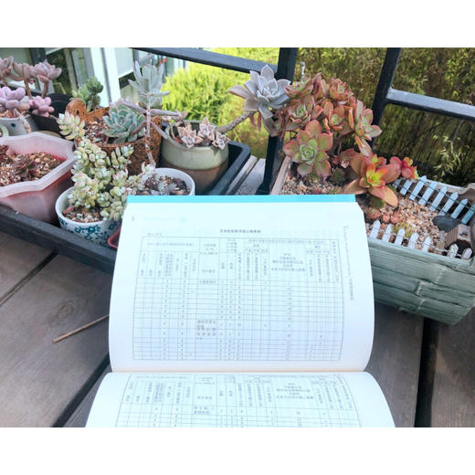 双相情感障碍 戴维·J.米克罗维兹 著 医学 商品图0