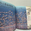 【图书】《DK多姿多彩的鸟类百科》 商品缩略图7