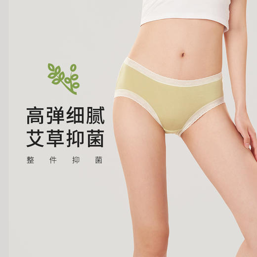 都市丽人健康系列人棉提花木代尔系列高弹裤全件艾草抗菌加倍舒适中腰平角女士内裤LK35F1 商品图0