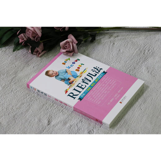 RIE育儿法 黛博拉·卡莱尔·所罗门 著 育儿家教 商品图2