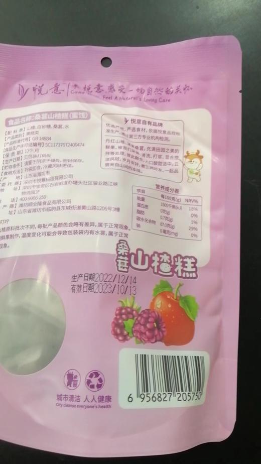 悦意桑葚山楂糕山楂条儿童宝宝健康小零食独立包装纯素无添加168g 商品图5