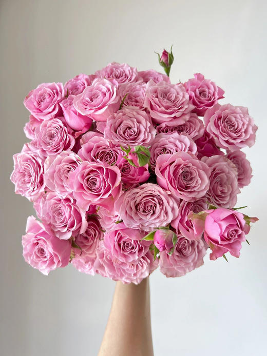 诺拉多头玫瑰【愿你即使生活在喧嚣的世界当中也能安静独处】简小姐精选 粉紫色 多头诺拉玫瑰 2件包邮 下单5天发出 商品图6