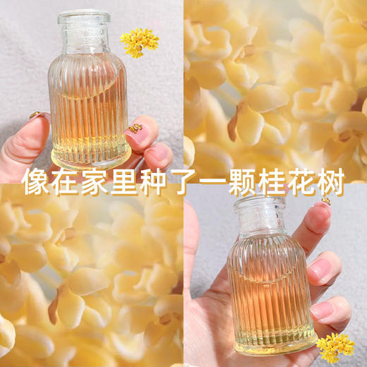 【少女真“桃”气！罗马柱无火香薰室内家用】微微萦绕鼻尖，轻轻拨动心弦，藏在春日里的清香，温柔舒适弥补这场杯错过的厕所除臭空气清新酒店驱蚊香氛摆件 商品图3