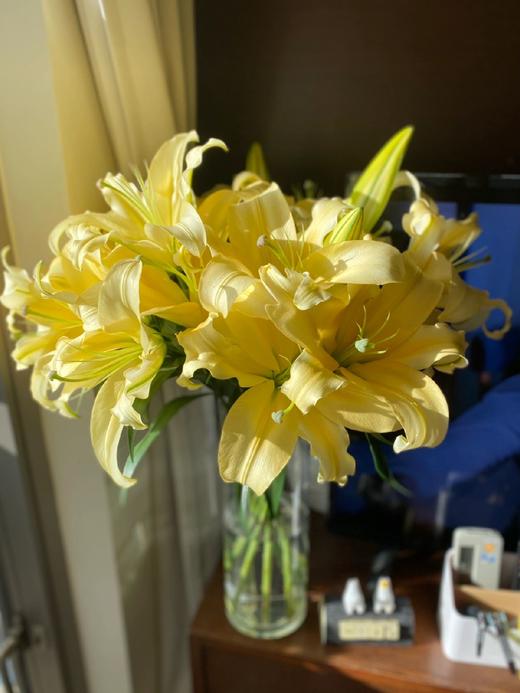 【百事合意】希亚拉重瓣百合3朵+罗蒂百合8-10朵+黄天霸百合8-10朵+黄帝百合3-5朵+迷你向日葵3支/份 商品图1