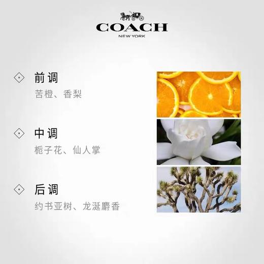 【官方正品】COACH/蔻驰梦想之旅女士香水 40ml/60ml/90ml 商品图4