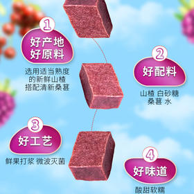 悦意桑葚山楂糕山楂条儿童宝宝健康小零食独立包装纯素无添加168g