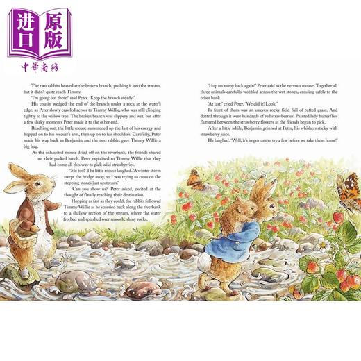【中商原版】彼得兔 田园的故事Peter Rabbit Tales from the Countryside 英文原版小初文学 自然知识绘本 故事图画书 精装 商品图4